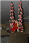 holi_nar_narayan_dev_jayanti_001.jpg